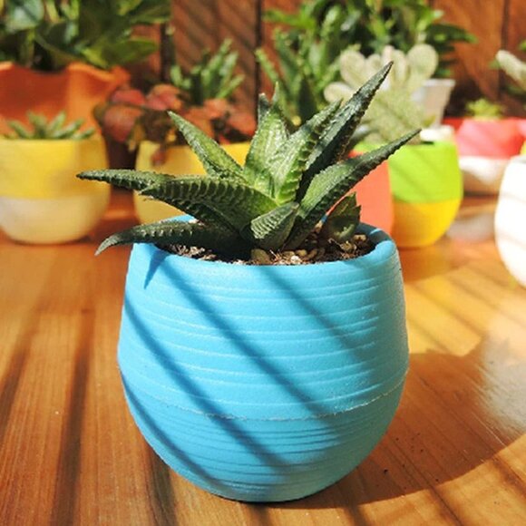Unbreakable Blue Succulent Planter Pot - Picture 12 of 16